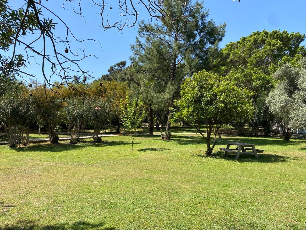 Premium Park Apart 2