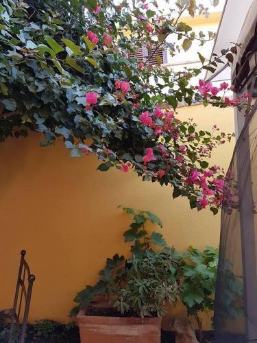 B&B Il Piccolo Giardino 2