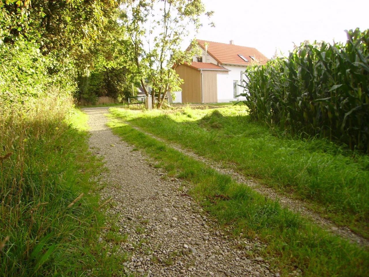 Wiflinger Graben Einfamilienhaus 1