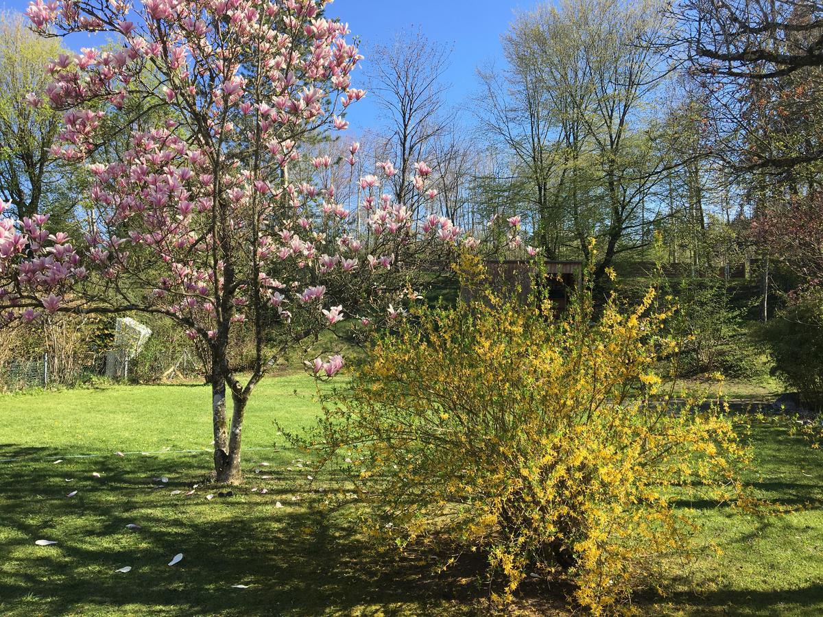 Villa Starnberger See 1