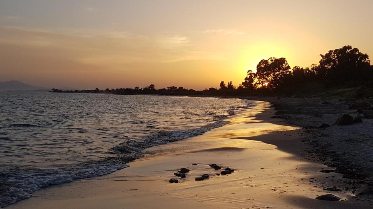 Domu Nosta di Giulio & Ignazia Room3 1