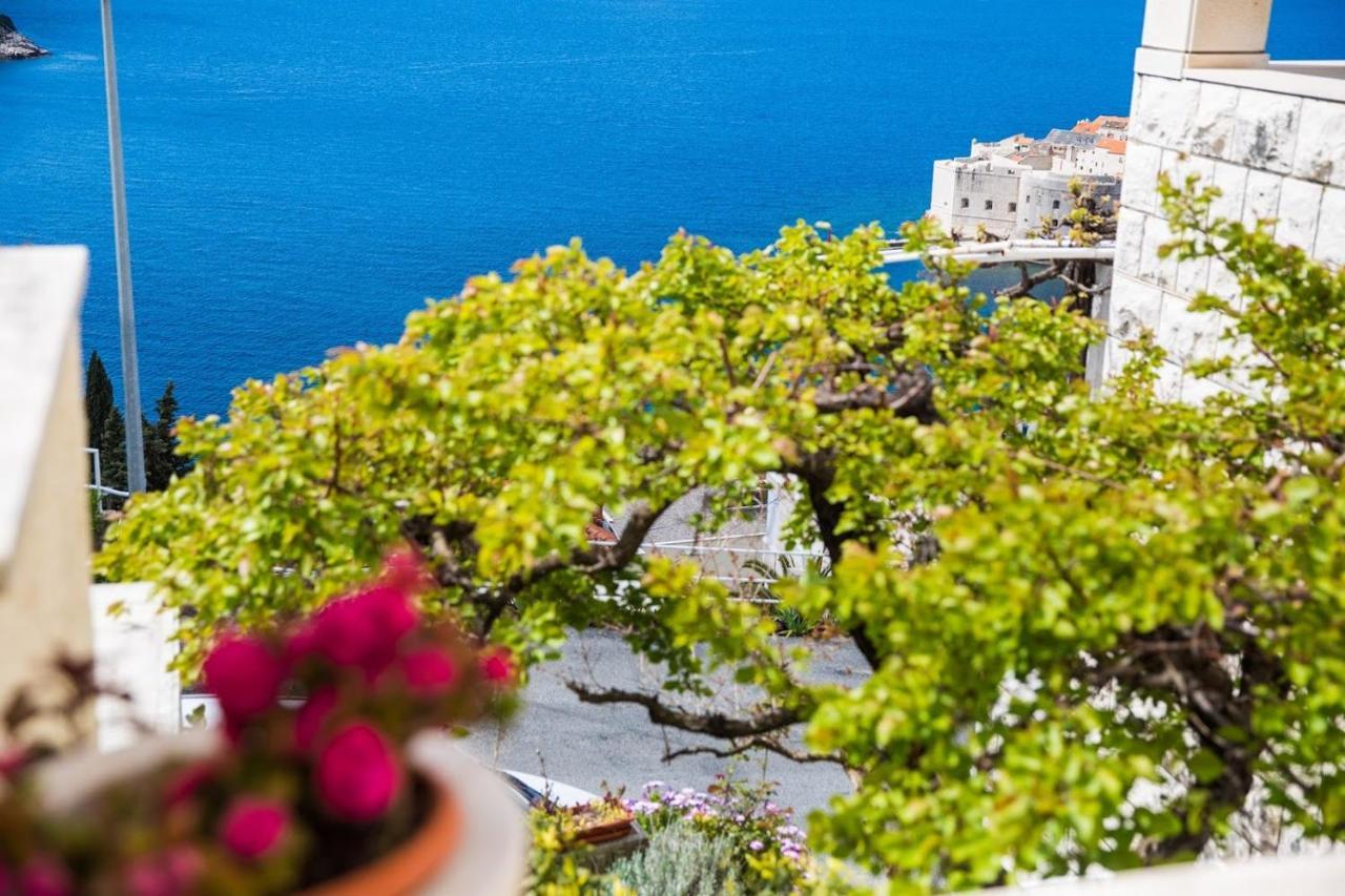 Lacroma Apartments 2