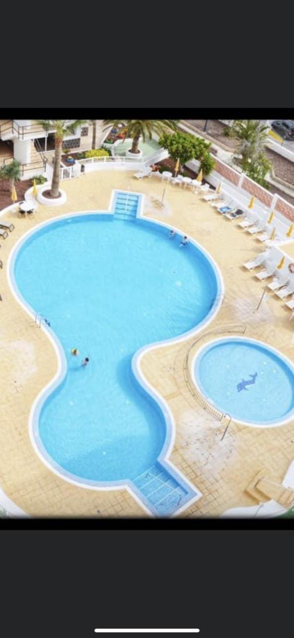 Superbe Appartement Avec Vue Sur L Ocean 2