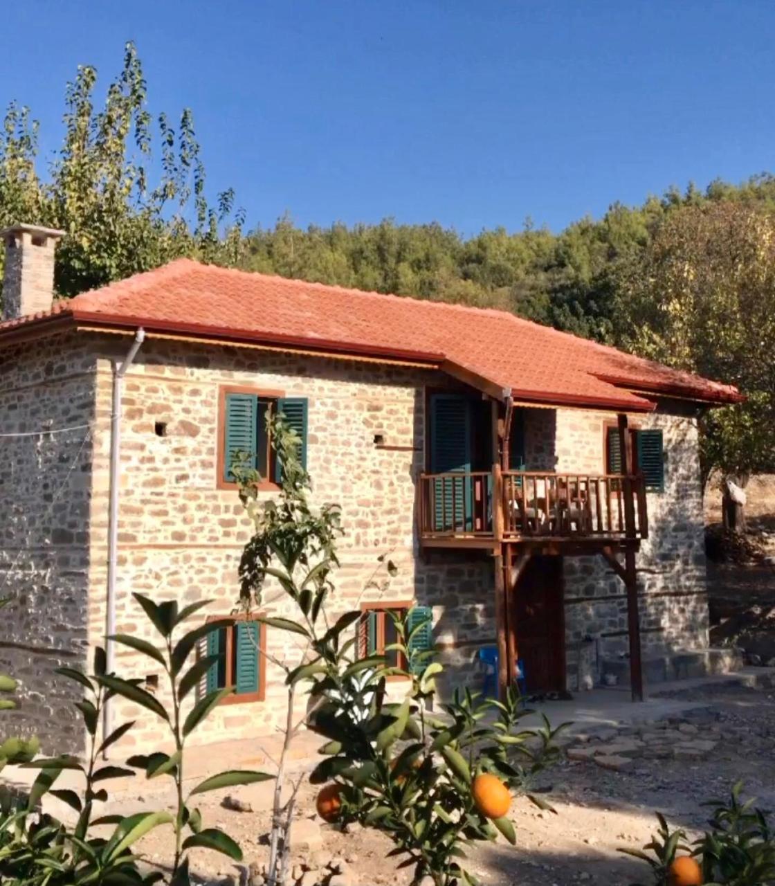 Lovely House in the Heart of Nature