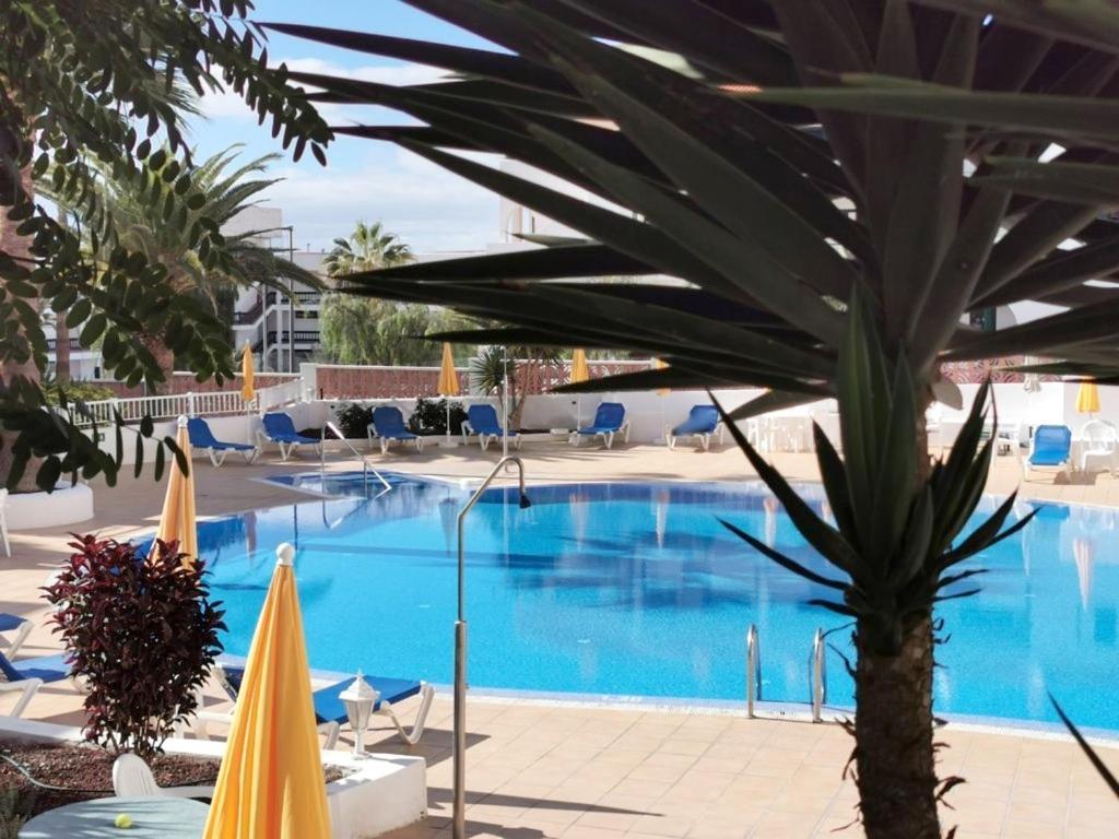 Apartment in Aguaviva 1