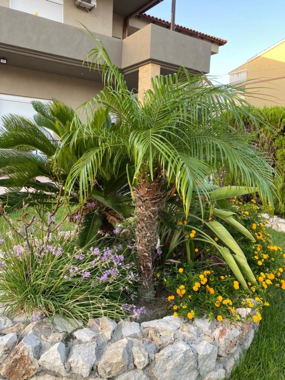 Eva's Garden House 1