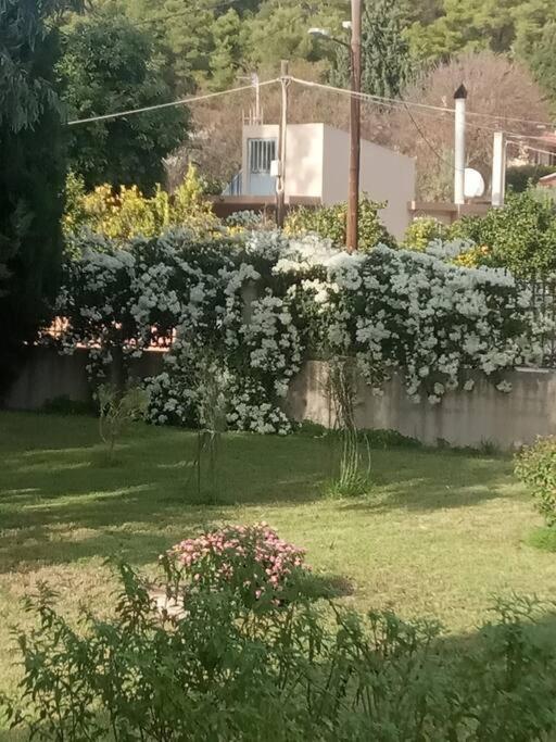 Villa - 1st Floor (Adults Only) 1