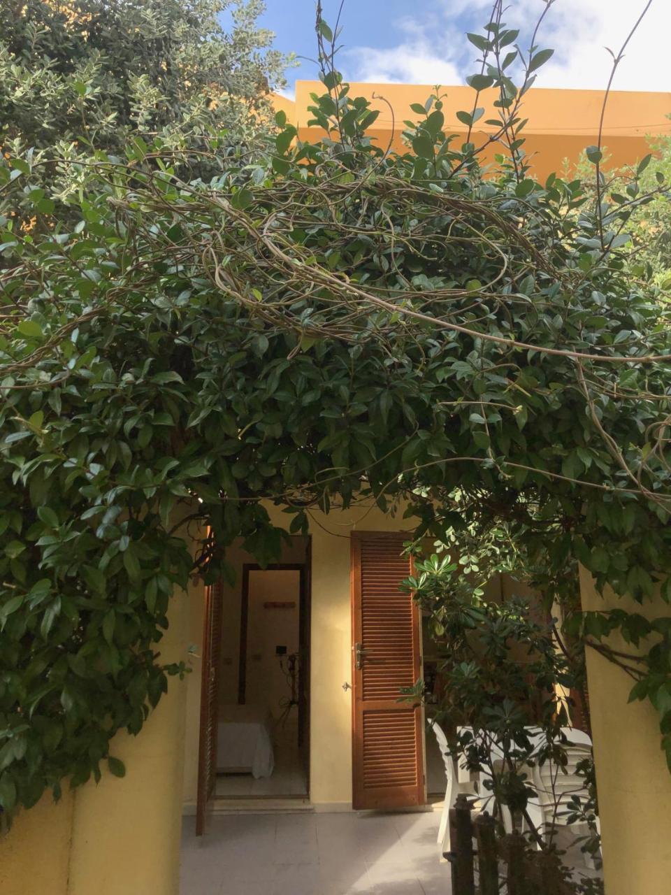 Domus Apartment Baj 1