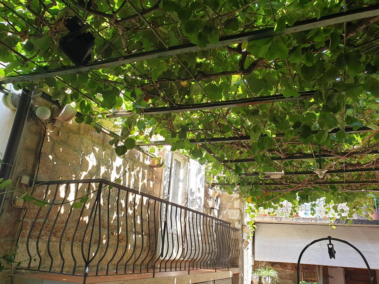 Old Town Garden Room 1