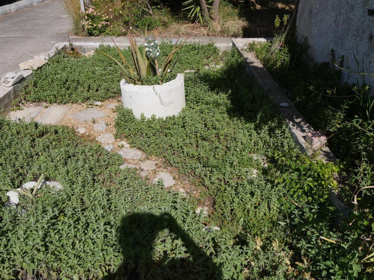 Helios-Rhodos-Apartments 2