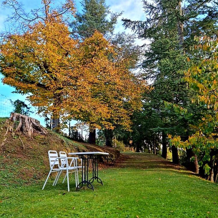 Mas Cal Sastre (Adults only)