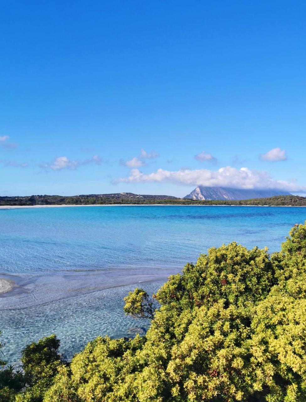 Casa Vacanze Lu Fraili, San Teodoro.