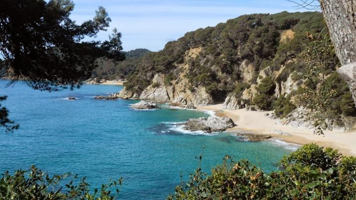 Al15 - Apartamento 1 Para Familias a 300 M Playa Fenals