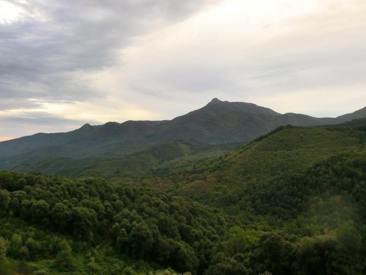 Apartamento Con Jardin, Barbacoa Y Piscina En Pleno Montseny Mas Romeu Turisme Rural 1