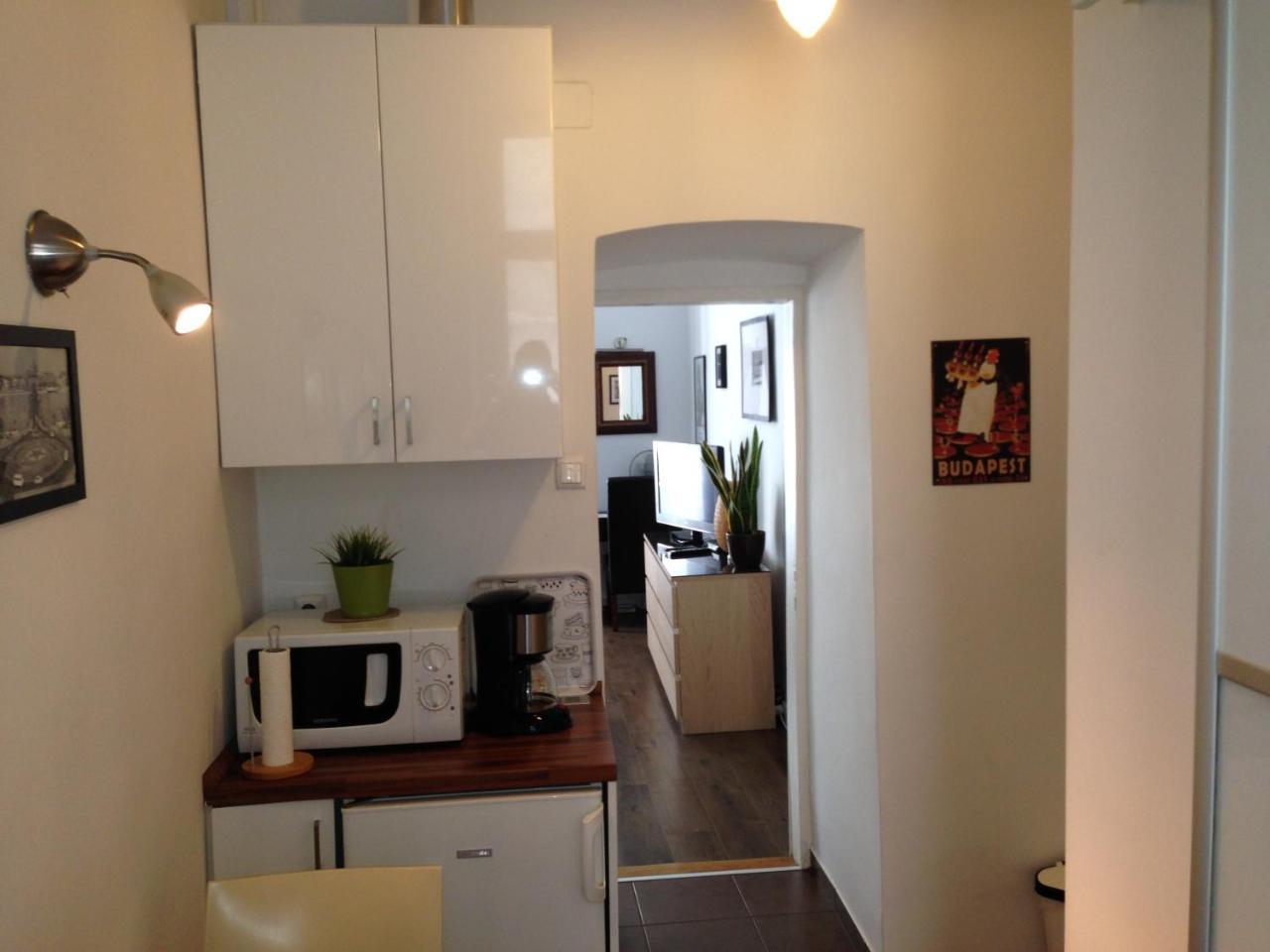 Private Apartment Centertown 2