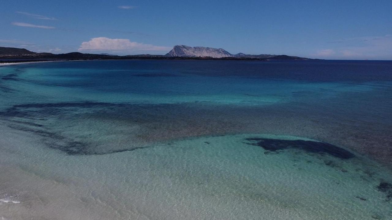 Villa Rosa la Cinta - Vista Mare San Teodoro 2