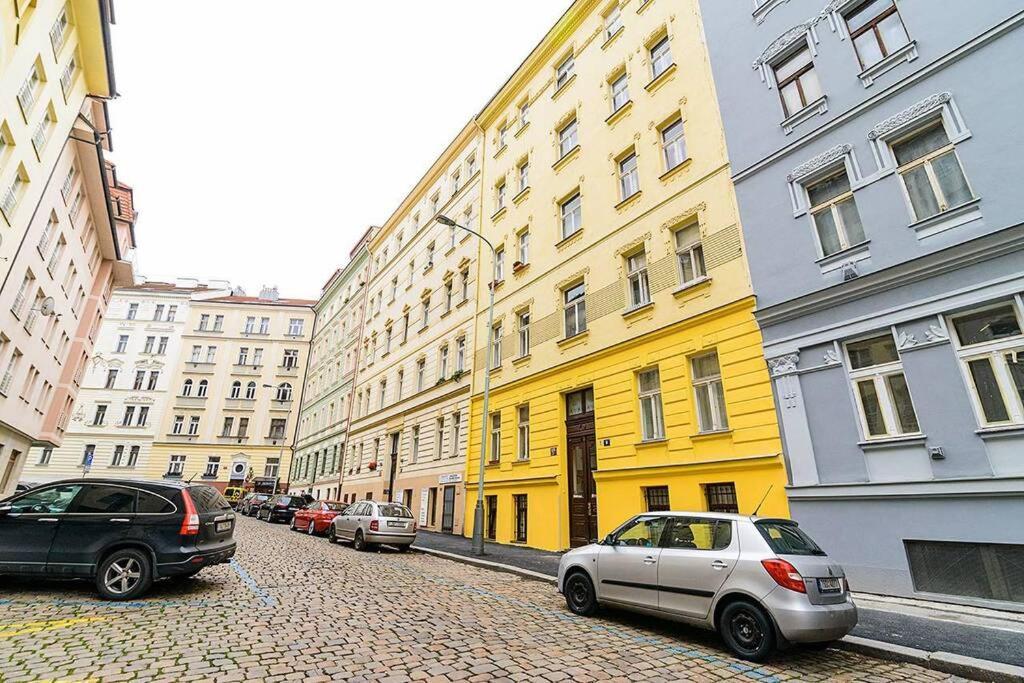 You Will Be Hosted And Welcomed by a Painter.