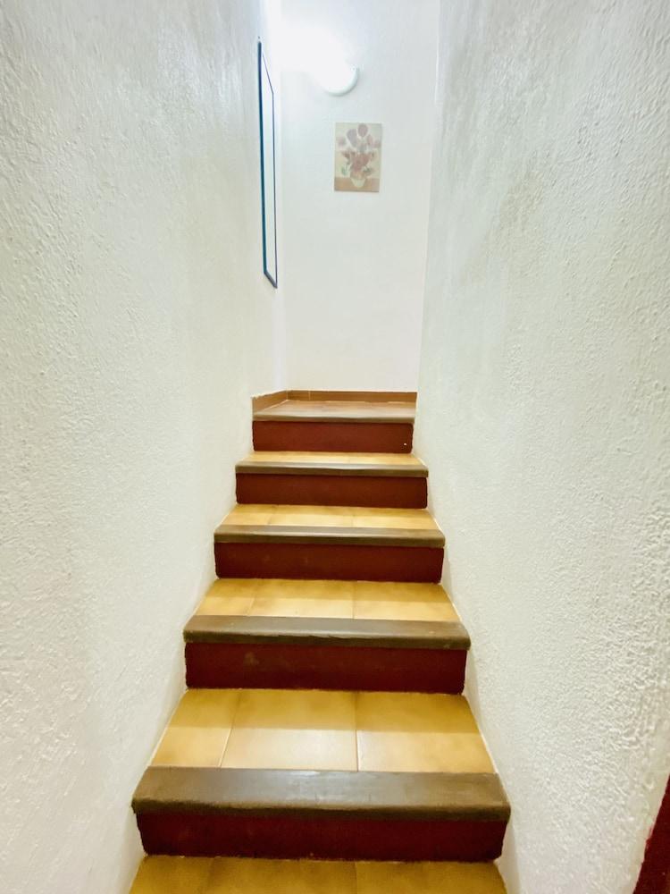 L'avru di la Canna la Cinta 2