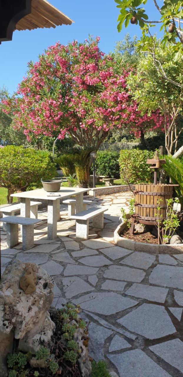 Antico Casolare Sorso-Tourist Rental