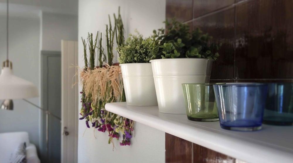 Calella Park la Esquina Verde 2