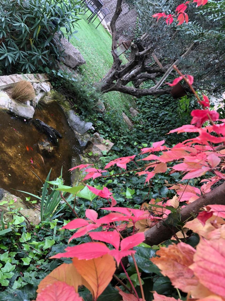 Turo de la Torre (Adults only) 1