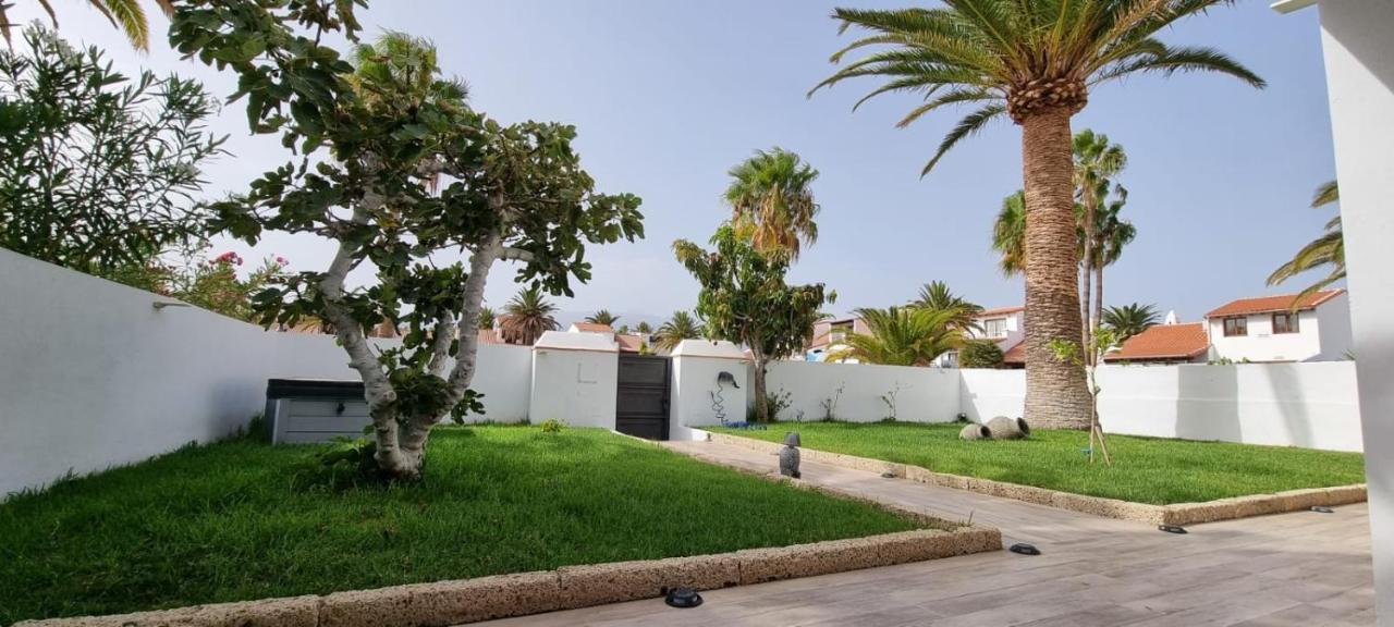 White House - Piro (Adults Only) 2