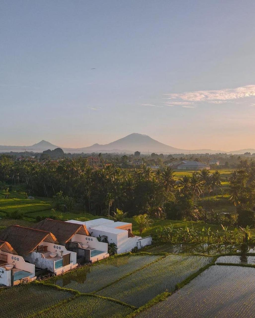 Woywoy Escape Samu (Adults Only) 1