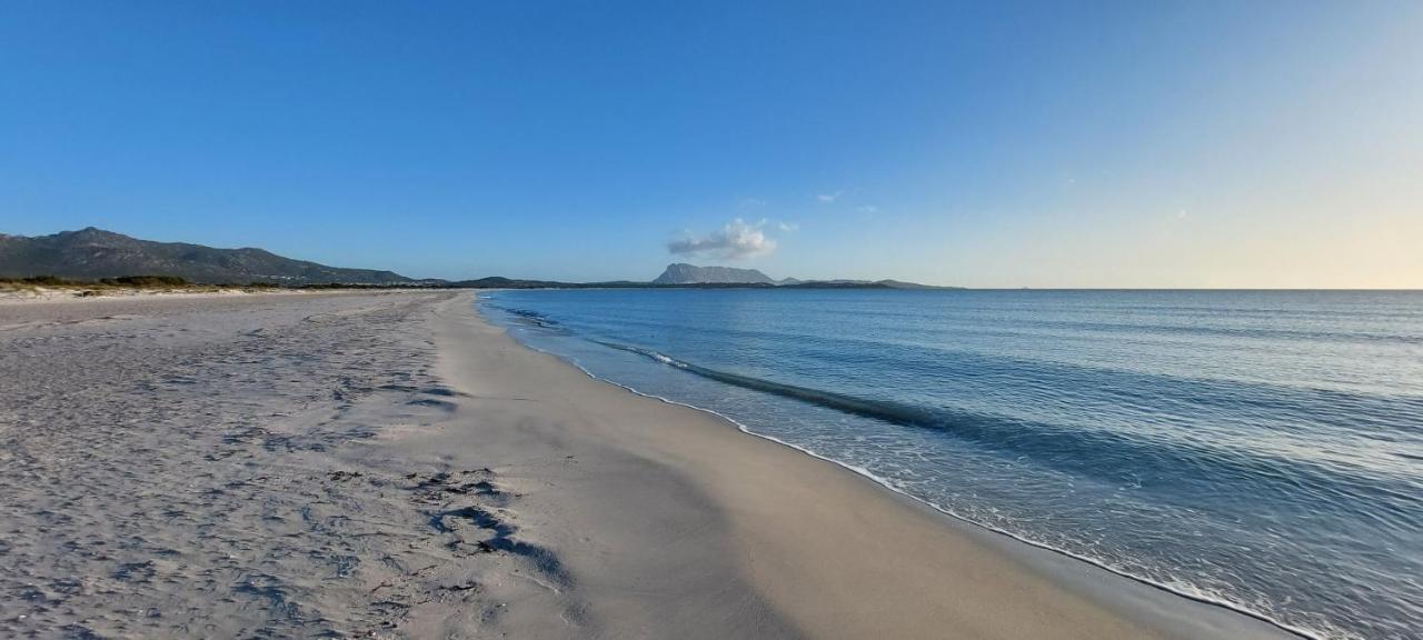 Appartamento Brigida Bilocale 2 Posti Vicino Al Centro 2
