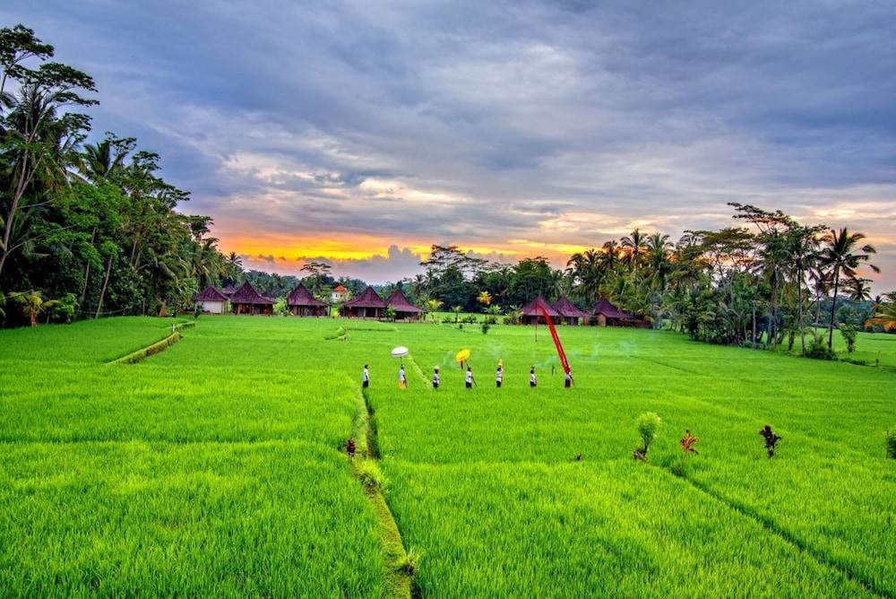 Intan Villa & Suite Ubud