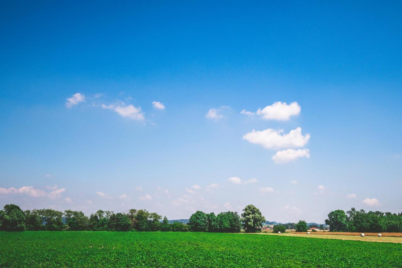 Landhotel Schweiger's 2