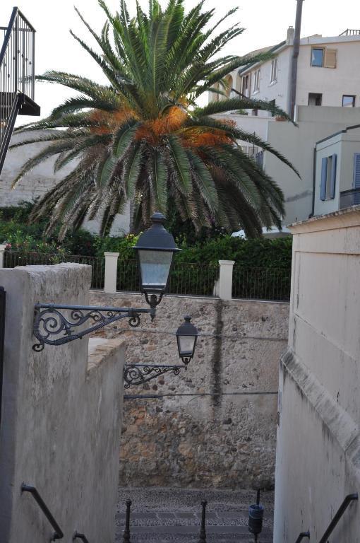 Spinnaker Holidays 1