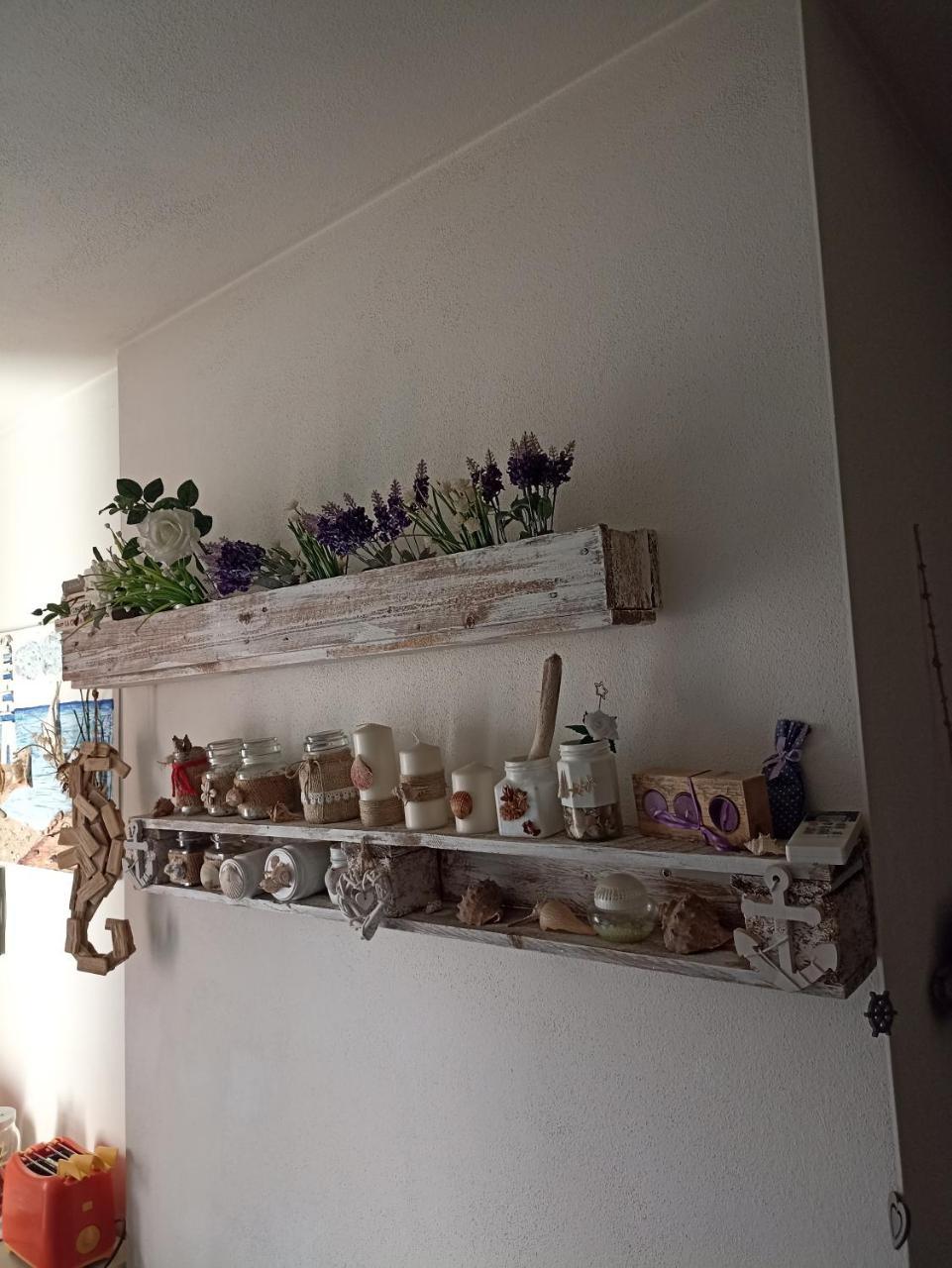 Cavalluccio Marino 2