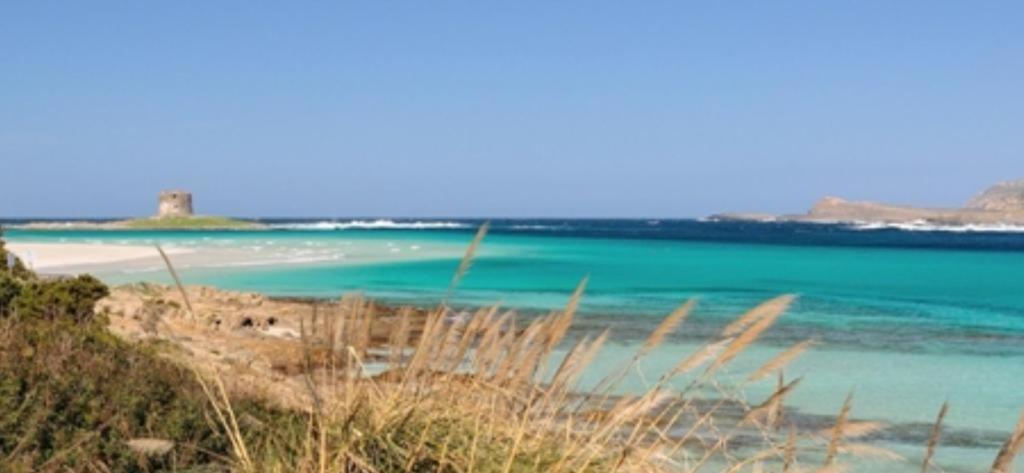 Appartamento la Pelosa 1