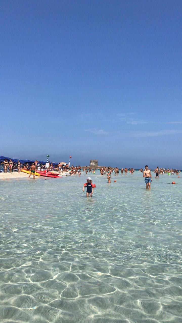 Appartamento la Pelosa