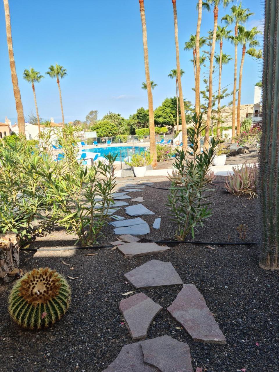 Almacanarias.Holidays Alma 2 1