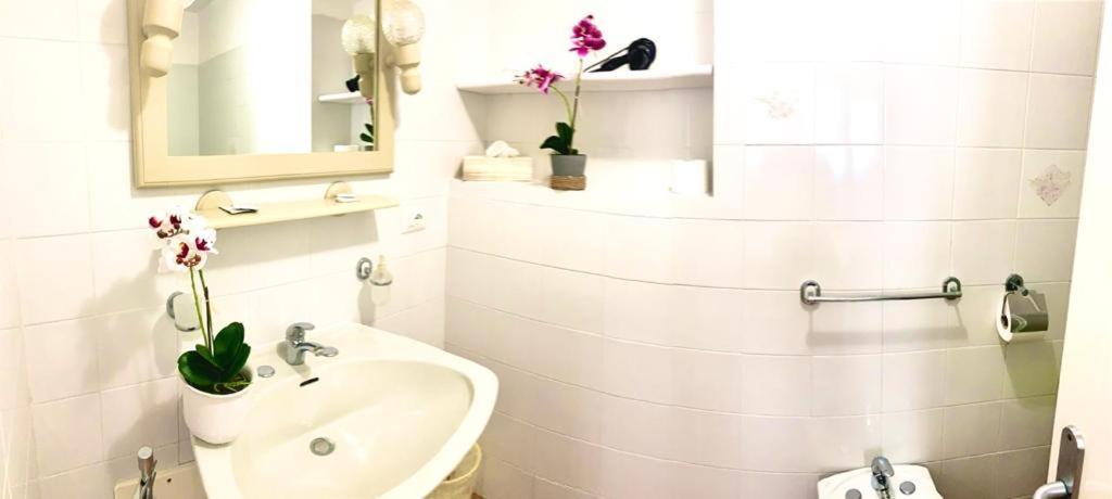 Roccabianca Rooms & Studios