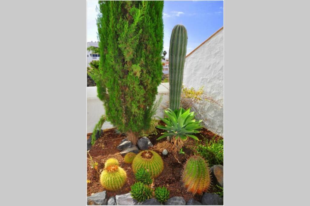 Sunny Duplex with Sea View of the Scenic Gorge 2