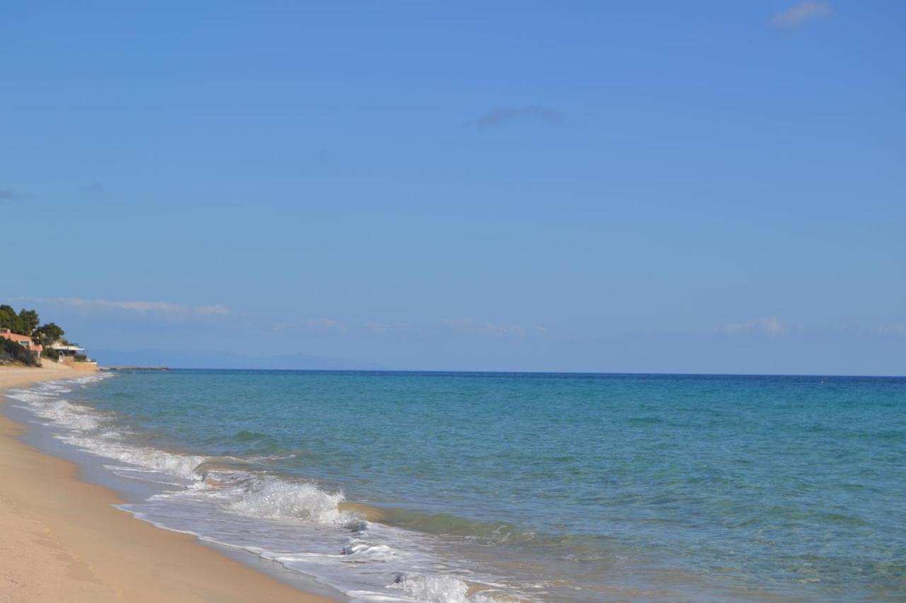 Villa "La Perla Marina"