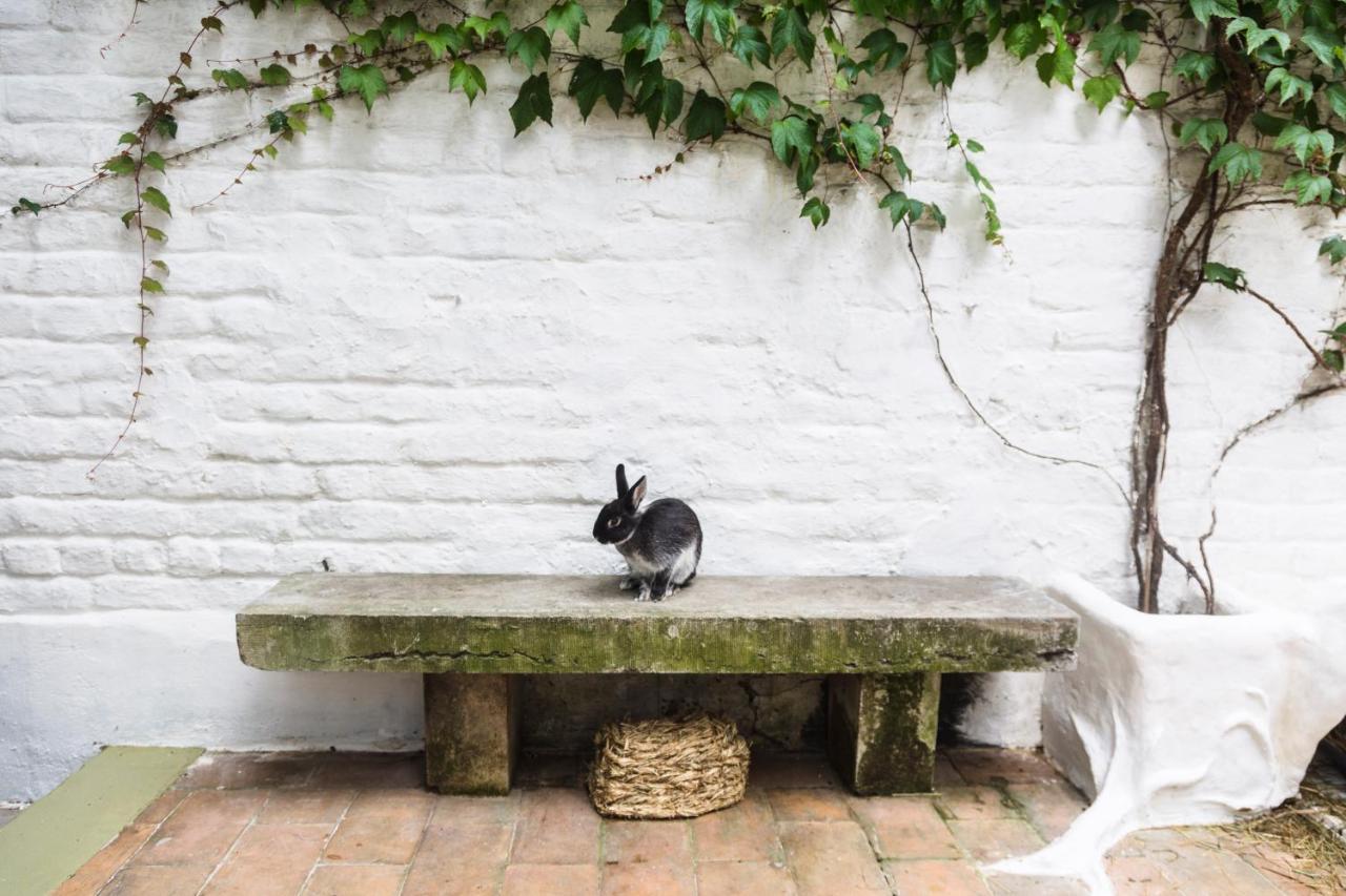 Rabbit Brussels Residence
