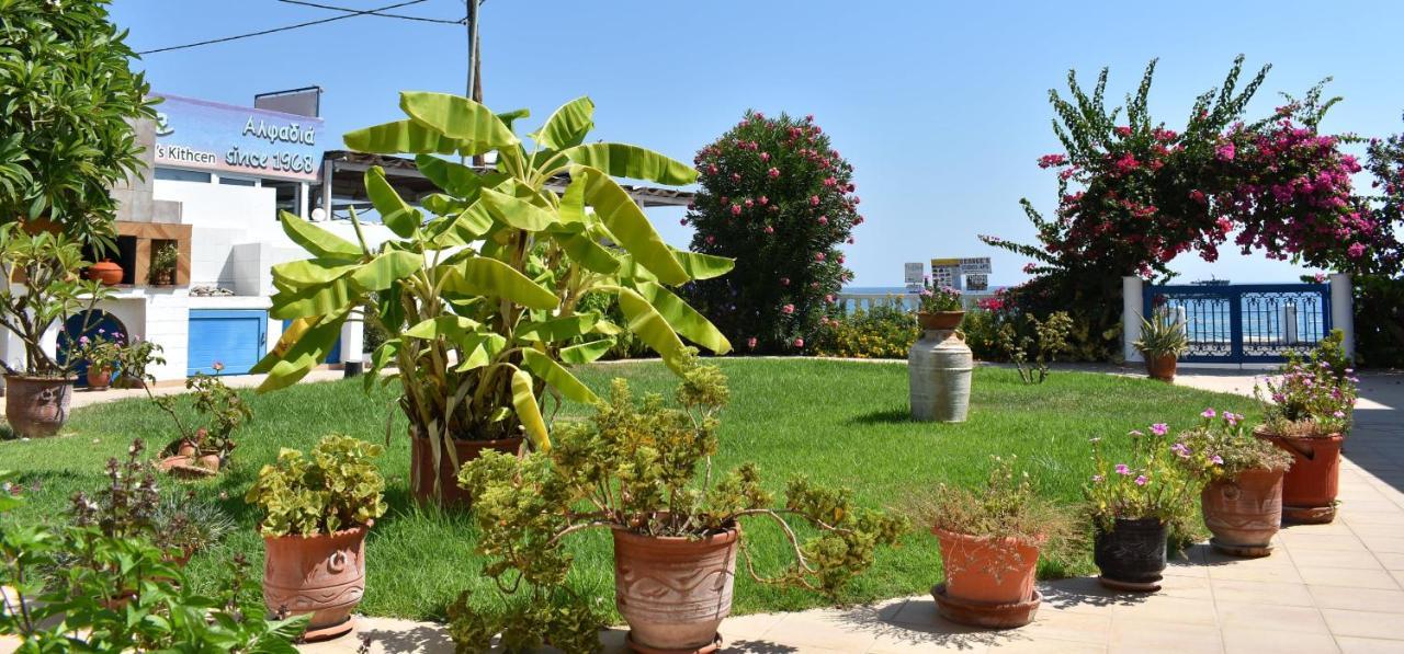 Antonios Apartments Stegna 1