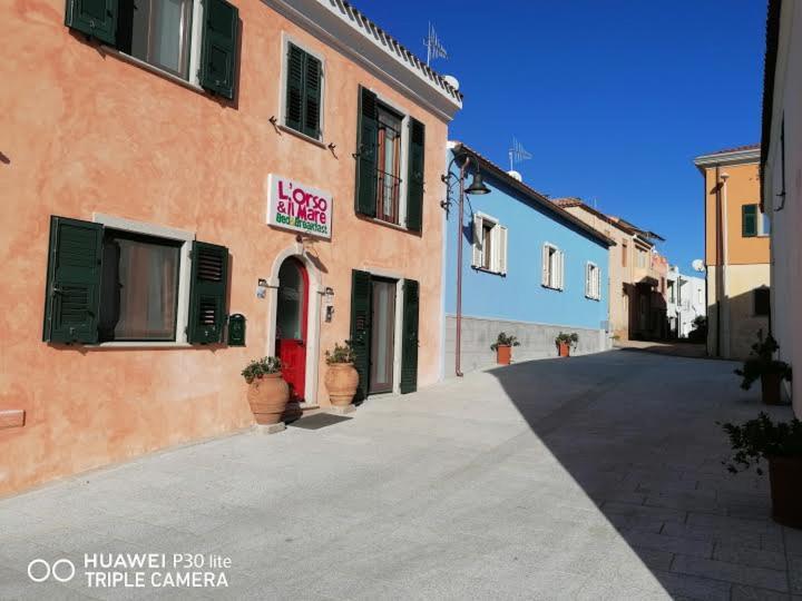 L'orso E Il Mare (Adults Only) 1