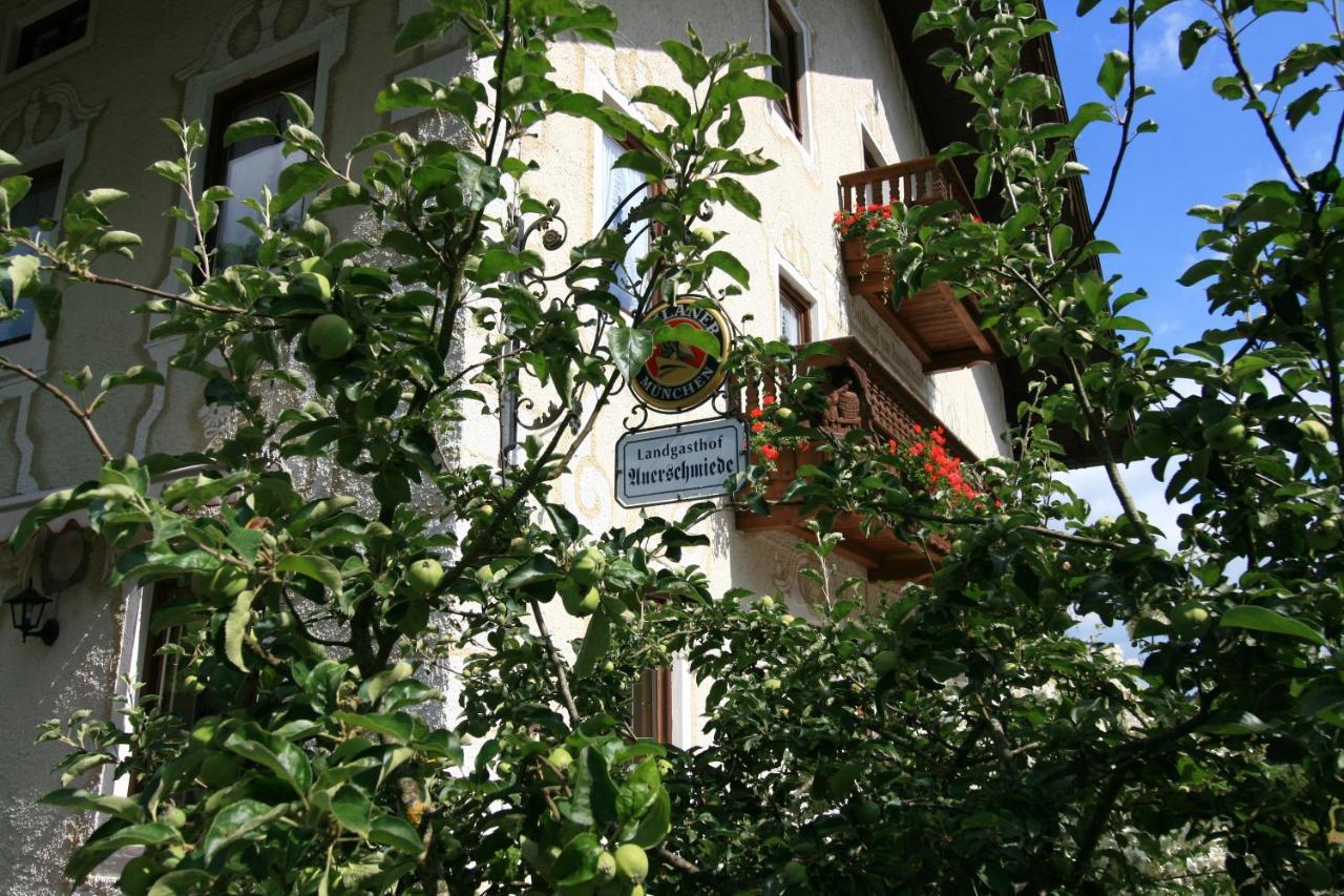 Landgasthof Auerschmiede 1