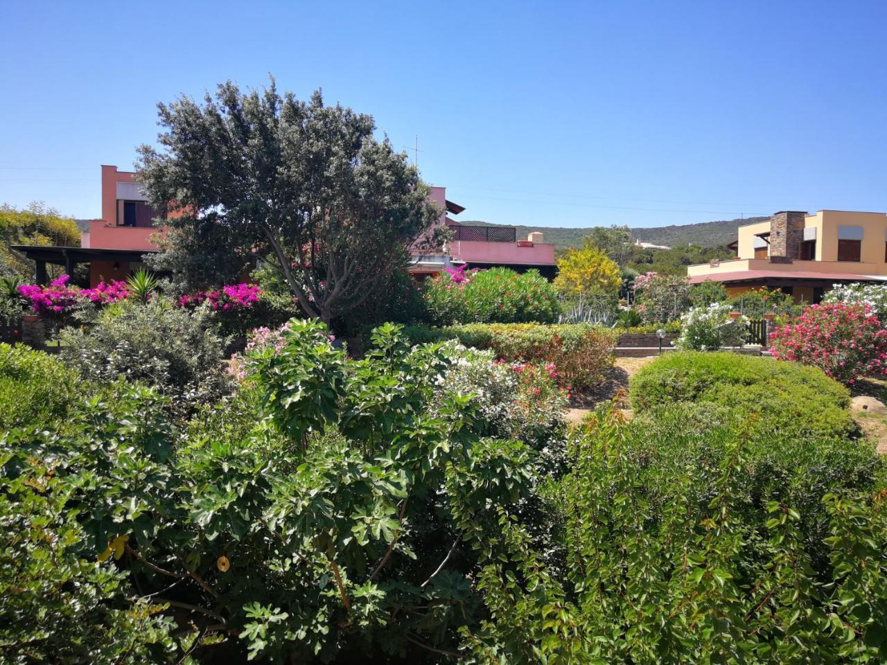 Villa la Pelosa Stintino 2