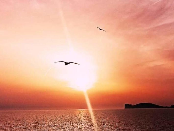 Quedar-Se a L'alguer (Adults Only)