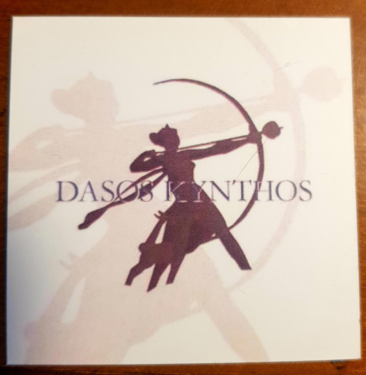 Guest House Dasos Kynthos 1