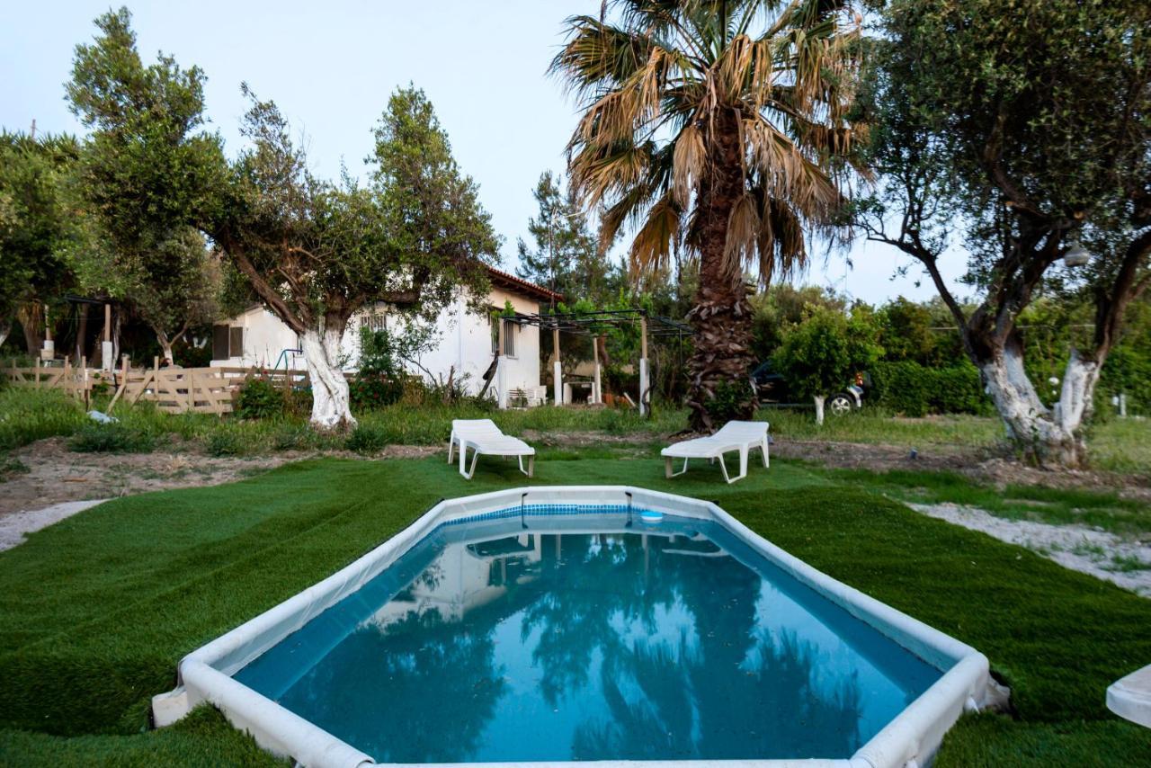 Jimmy's Pool House 2