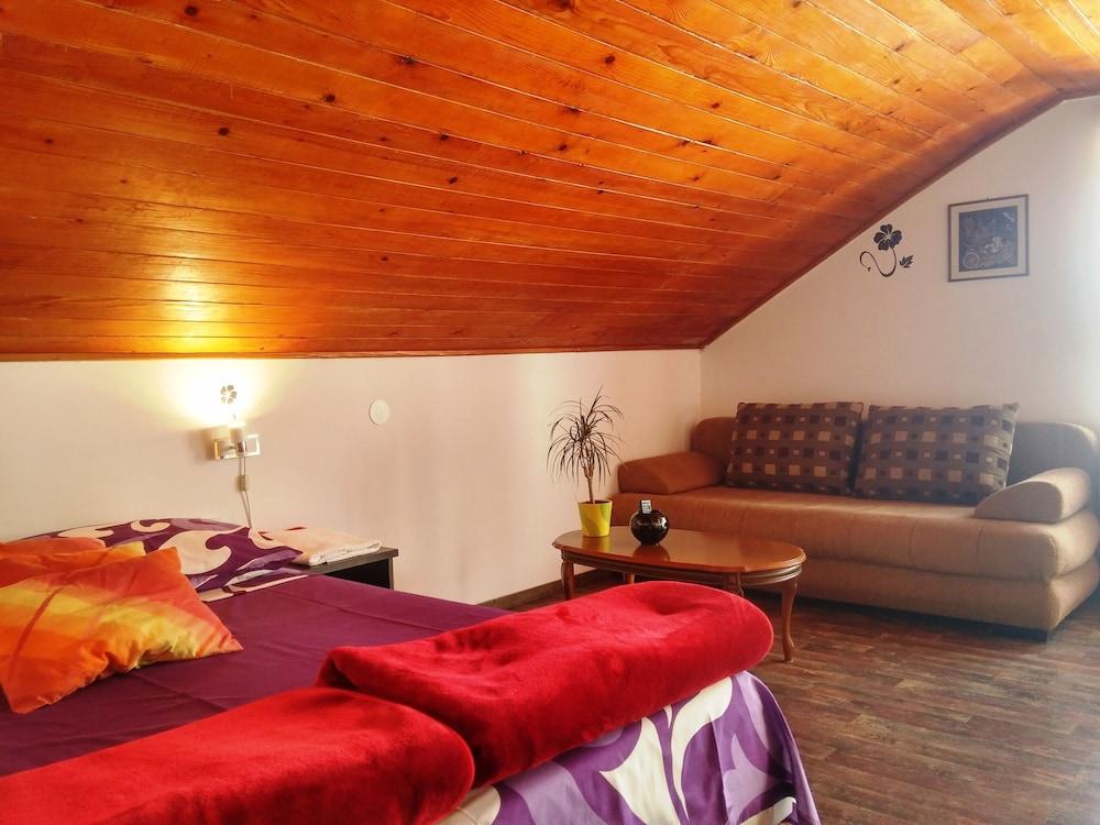 Breathtaking View - Attic Apartment 1