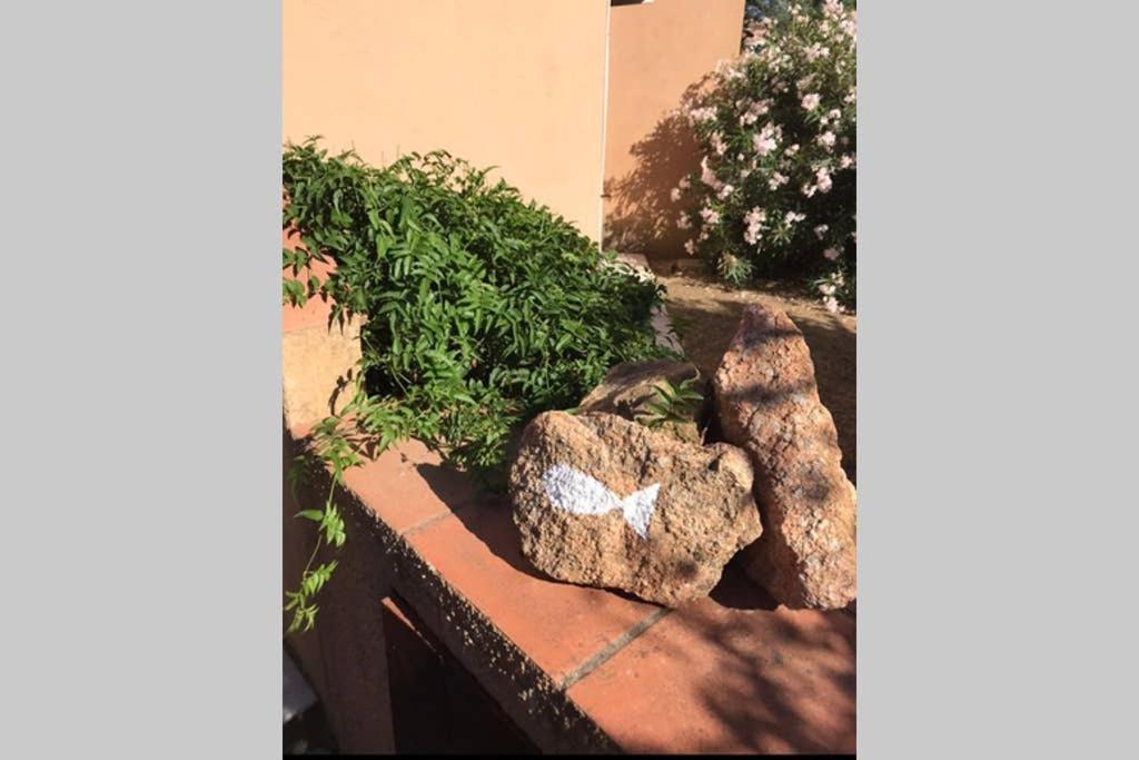 Appartamento Il Canneto 1