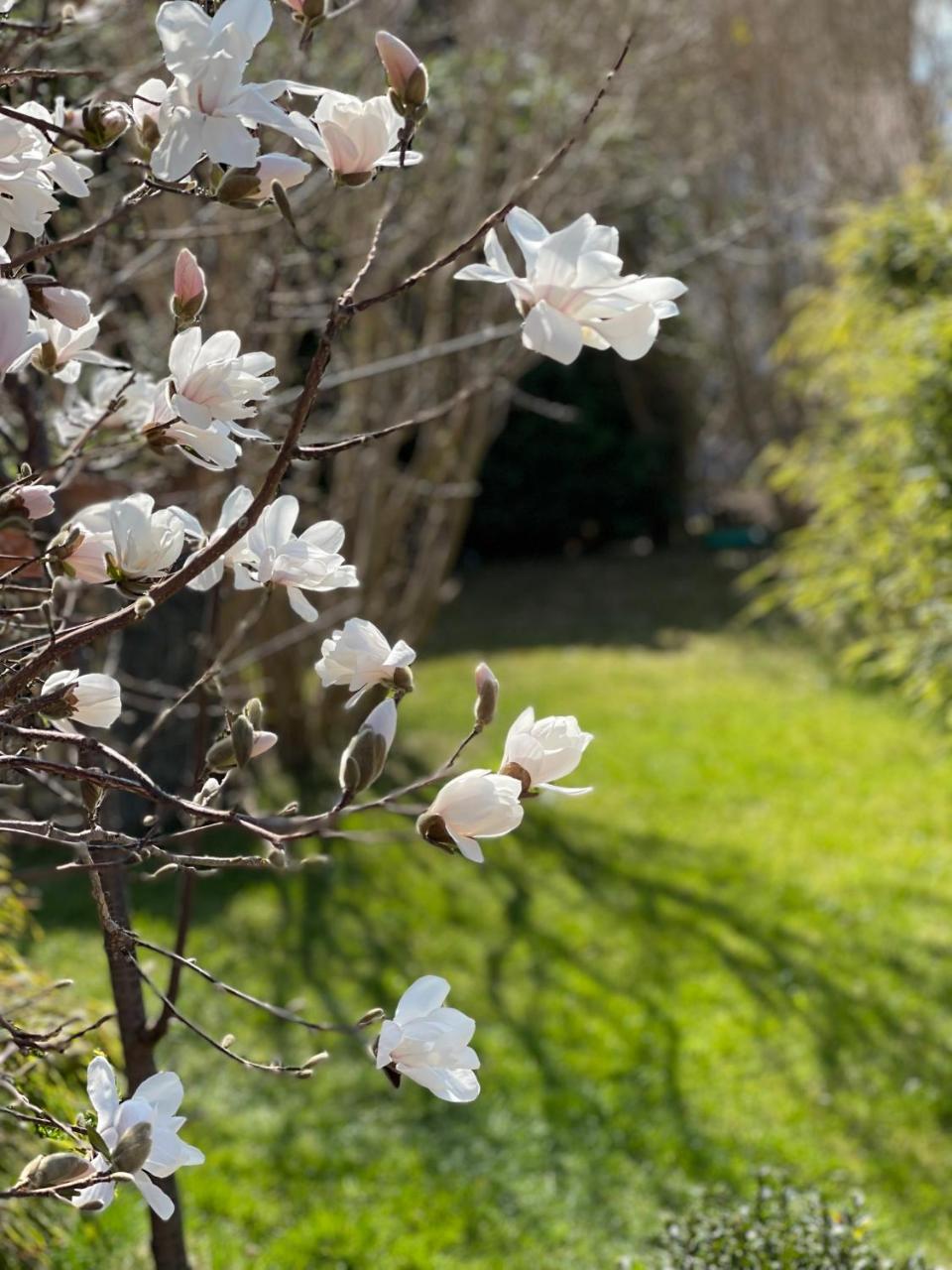 Architektenhaus Mit Bergblick 220qm+Terasse/Garten 1