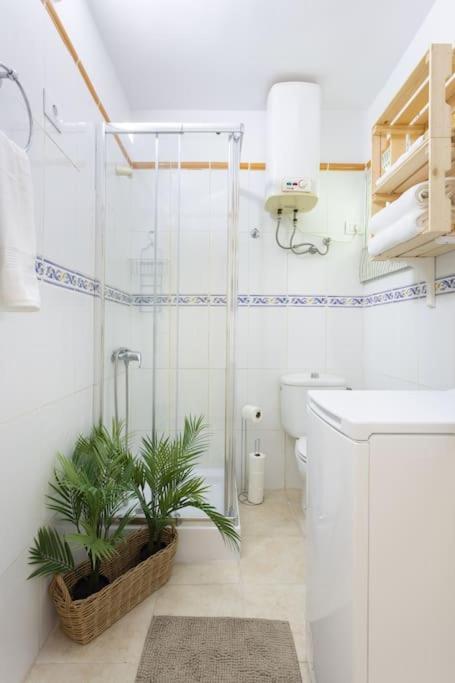 Eden Rentals Ocean Poris Pearl 2